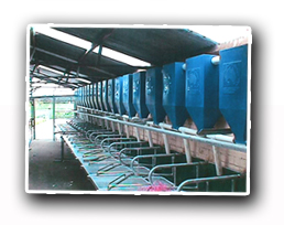 grain augers